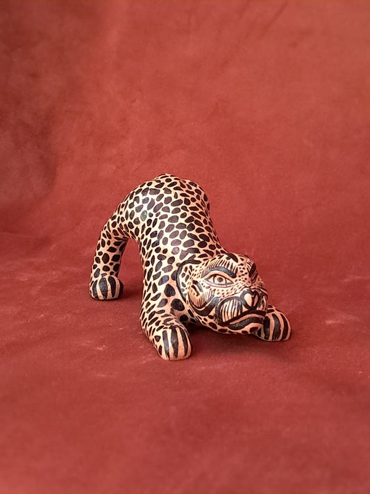 Mini jaguar